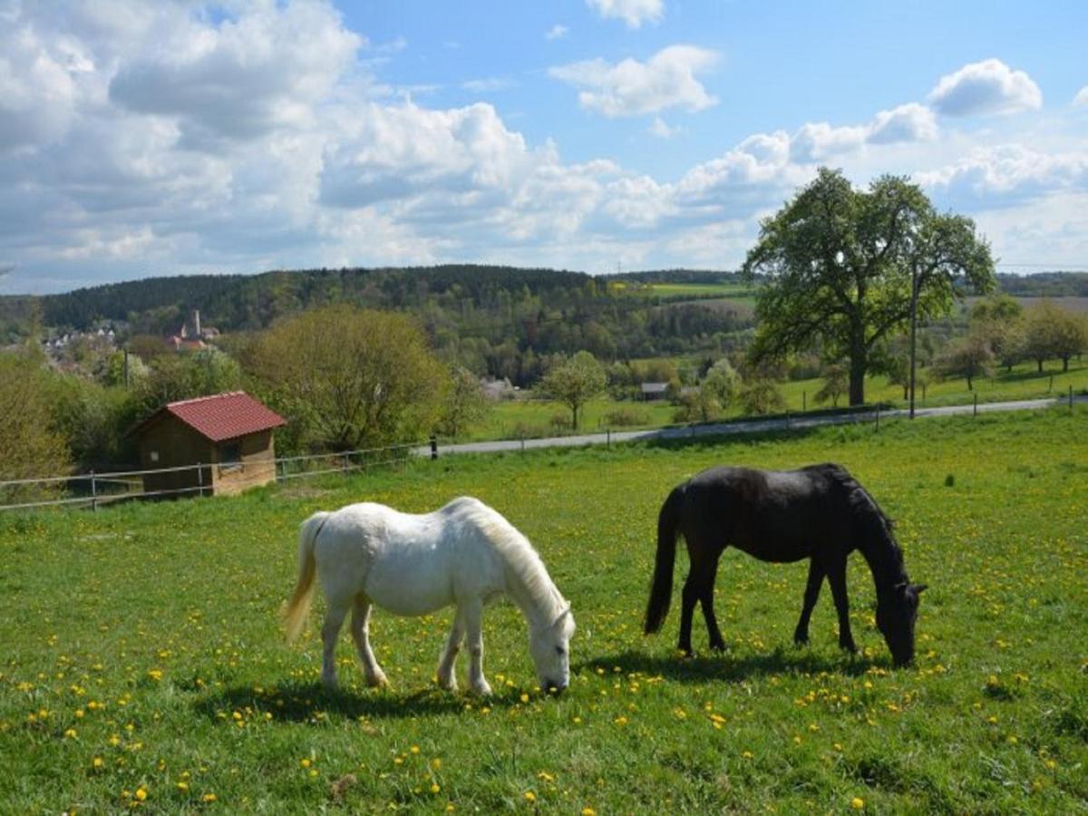 Ferienhof Pfeiffer Buchen  Exterior foto